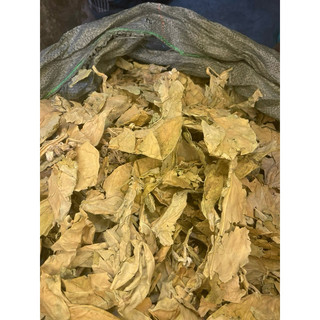 500GR LÁ HEN KHÔ ( CÂY BỒNG BỒNG)