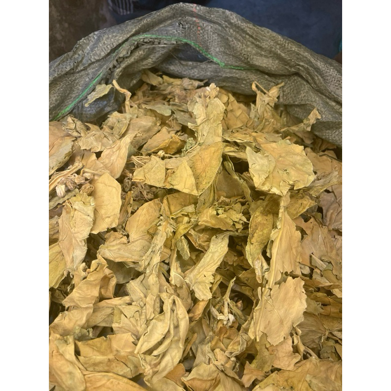 500GR LÁ HEN KHÔ ( CÂY BỒNG BỒNG)