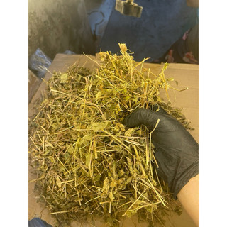 1kg cây cứt lợn khô (hoa ngũ sắc, cây cỏ hôi)