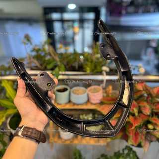 Cảng Sau Wave Alpha 2006-2026, RSX FI, Wave Blade, WS110, RS