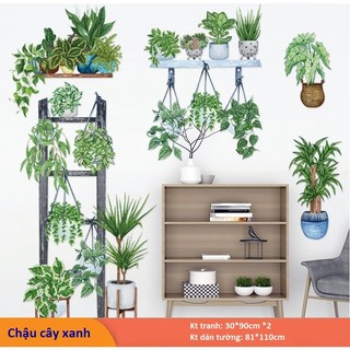 Tranh decal dán tường chậu cây xanh- decal dán tường trang trí phòng