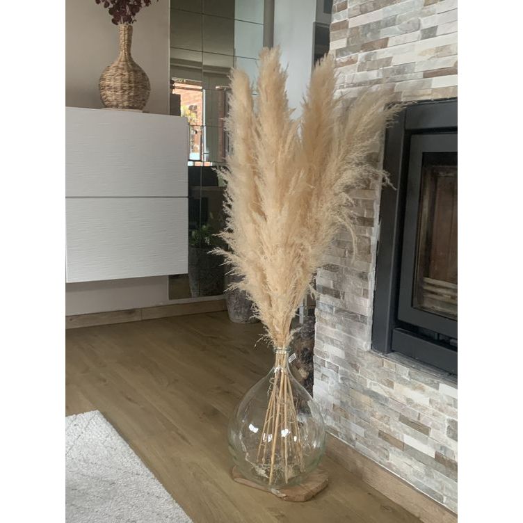  Sỉ  10 20 30 bông cỏ lau khô bông lau trang trí sự kiện LK021 