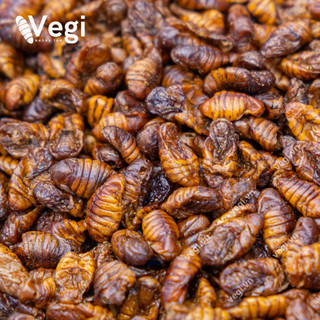 Nhộng tằm sấy nguyên con - Thức ăn cho Sóc, Nhím, Hamster, Cá Koi - 1KG/túi - Nhộng tằm Vegi