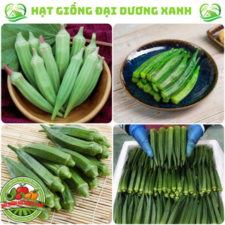 Hạt Giống Đậu Bắp Xanh, Đậu BắpTím Tặng kèm phân