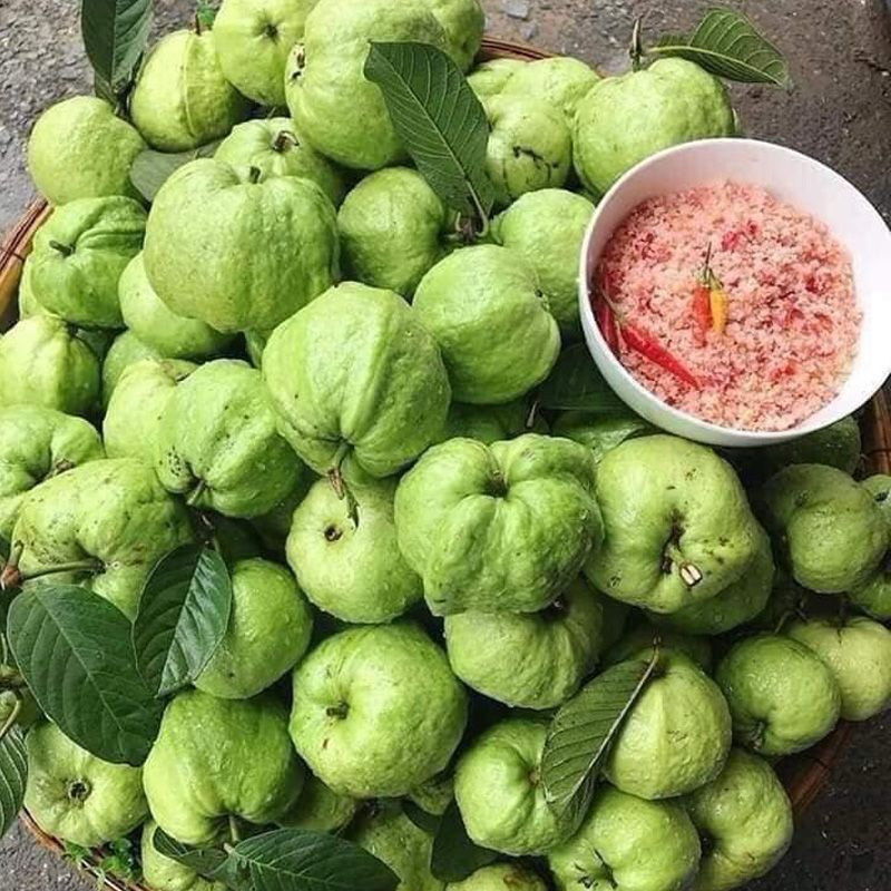 Chậu nhựa mềm Ổi Nữ Hoàng