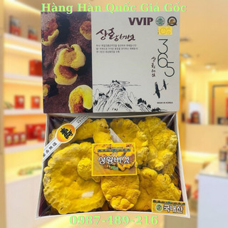 Nấm thượng hoàng 365 cao cấp hàn quốc, hộp 500gr