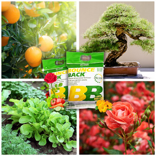 Phân Hữu Cơ Bounce Back Gói 1kg - Phân hữu cơ DYNAMIC ÚC cao cấp 1kg - BOUNCE BACK