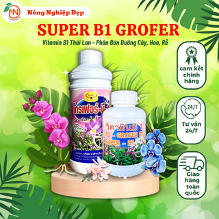 B1 grofer thái lan 1 lít - b1 trắng thái lan - phân bón dưỡng cây dưỡng hoa dưỡng rễ
