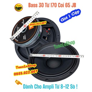 Loa bass karaoke, loa bass 30 jb l từ 170 coi 65 gân vải - giá 02 chiếc - loa bass rời 30 coi 65 1270