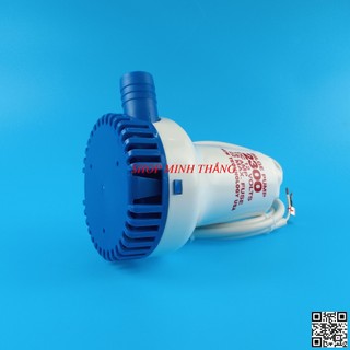 Máy Bơm Chìm Điện DC 12V 24V