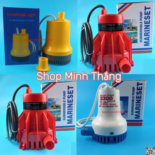 Máy bơm chìm điện dc 12v 24v