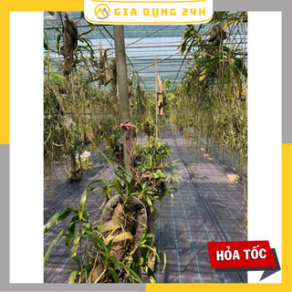 [DIỆT CỎ 100%] Bạt trải diệt cỏ khổ rộng 1m
