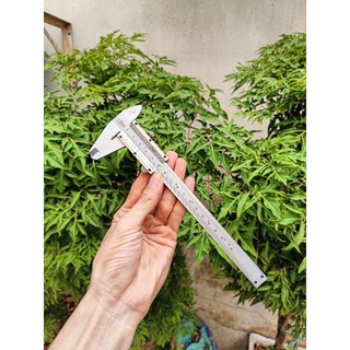 Thước kẹp cơ 150mm cao cấp