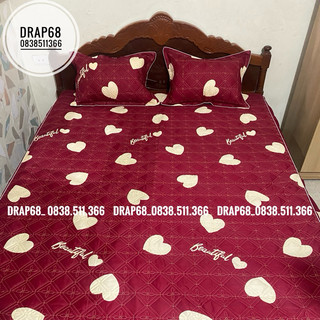 Ga Chun Trần Bông Cotton Boly - Dày Dặn Bền Đẹp Đủ Kích Thước