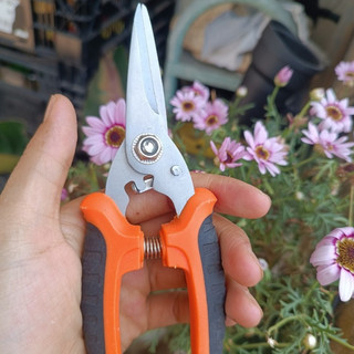 Kéo tỉa cành đỏ, Kéo tỉa cành cao cấp, Kéo tỉa cành cây M5