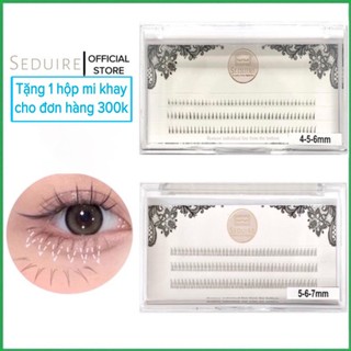 Mi khay seduire 3 hàng loại mi dưới