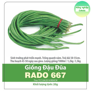 Hạt Giống Đậu Đũa Sai Trái (10gr)
