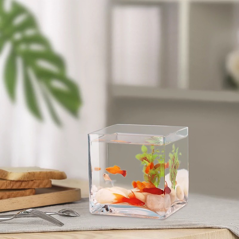 Bể Cá Thủy Tinh Mini Kích Thước 10cm x 10cm Thả Cá, Trang Trí Nhà Cửa