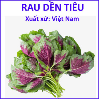 Hạt giống rau dền tiêu - rau dền tía