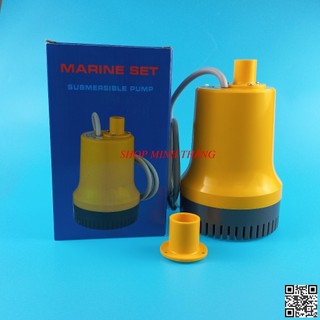 Máy Bơm Chìm Điện DC 12V 24V