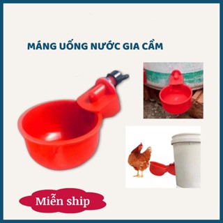 (Rẻ Vô Địch) Máng nước tự động cho Gà, Vịt, Chim Gia Cầm - Máng nước gắn Xô Tiện Lợi Chất Liệu PVC Cao Cấp