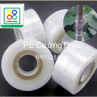 "màng ghép cây" "màng quấn mối ghép cho cây" giúp bảo vệ mối ghép
