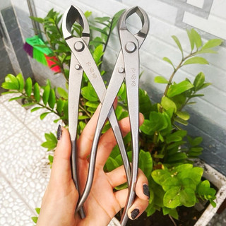 Cạp tròn cạp xéo thép trắng hàng thép đúc nguyên khối