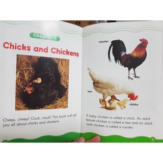 Sách - Science Vocabulary Readers (bộ 30 cuốn)
