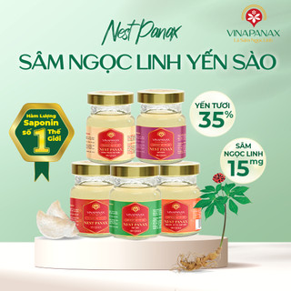 Hũ Sâm Ngọc Linh Yến sào Khánh Hòa 35% Nest Panax hỗ trợ ngủ ngon, bồi bổ cơ thể (hũ 70ml)
