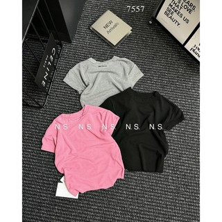 Áo thun trơn nữ basic hàng QCL1