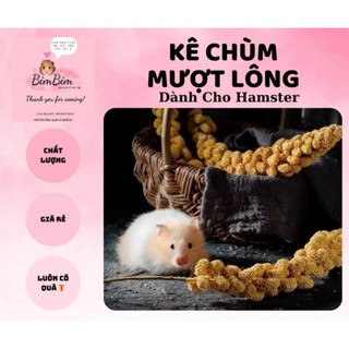 Kê chùm ăn vặt mượt lông cho hamster
