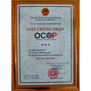 ✅ Trà hoa Cúc Econashine sấy lạnh - Thanh nhiệt, ngủ ngon, sáng mắt (Lọ thủy tinh cao cấp 38g)