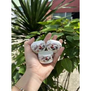 cóng sứ cao cấp chào mào chích chòe