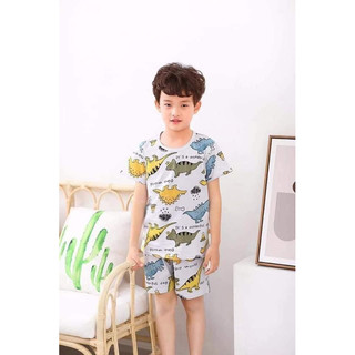 Bộ cotton xuất size nhí nhỡ đại bé trai