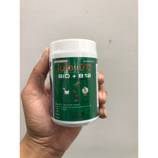 Úm gà con bio b12