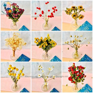 Hoa khô trang trí decor chụp ảnh, trang trí bình gốm sứ, lọ thủy tinh