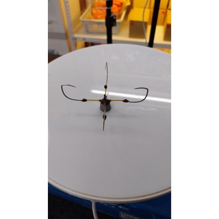 lưỡi câu tứ cỡ 8 các phom dáng