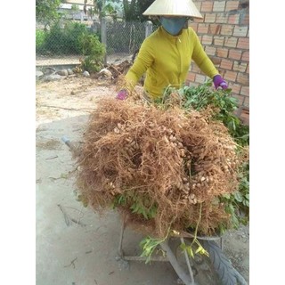 1 Lít dầu đậu phộng nguyên chất MrO