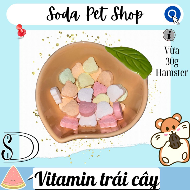 Vitamin Trái Cây Cho Hamster