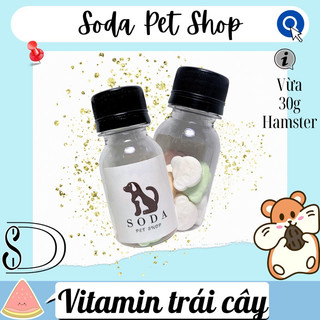 Vitamin Trái Cây Cho Hamster