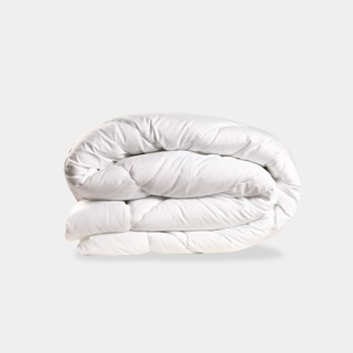 [EVERON] Ruột Chăn Original High Cao Cấp Truyền thống