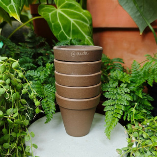 Chậu đất nung ly gờ Đen Choco 7x7 cm | Erecta Story