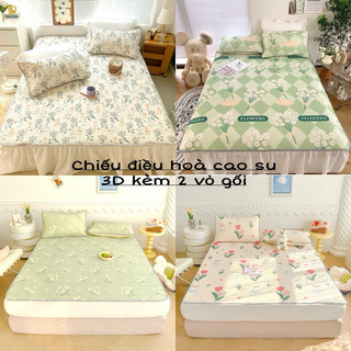 Chiếu điều hòa cao su non latex 3d, 5d new 2024 kèm 2 vỏ gối - chiếu 3d cao su non