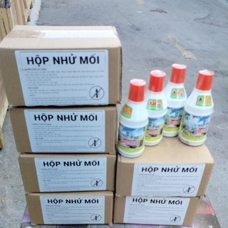 Compo 6 hộp nhử mối + 4 chai diệt mối tận gốc