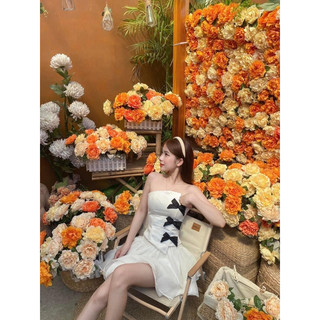 ĐẦM ĐEN ỐNG CÚP NGỰC ĐÍNH ĐÁ