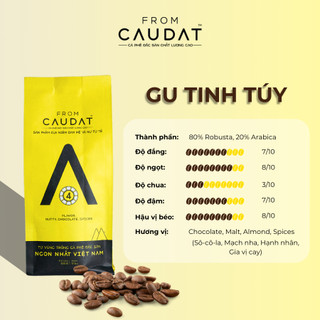 Cà Phê Đặc Sản Gu Tinh Túy  (80% Robusta 20% Arabica Chất Lượng Cao) - A4