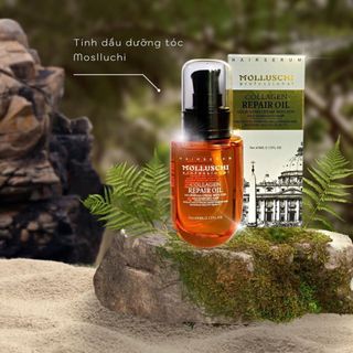 Tinh dầu dưỡng tóc mềm mượt Molluschi 60ml chăm sóc tóc ngay tại nhà Hương thơm nước hoa sang trọng Hàng chính hãng