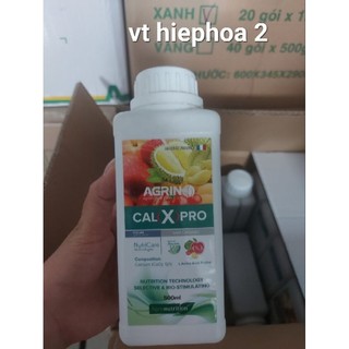 Maxcanxi