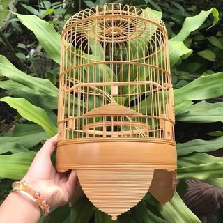 Lồng khuyên dũi chỉ hàng kỹ đẹp, lồng chim khuyên dừa - chân tách chỉ size 22 hàng kĩ siêu chất lượng
