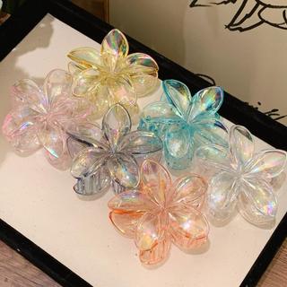 Kẹp tóc hoa sứ ,kẹp tóc hologram trong màu 8cm hot trend giá rẻ